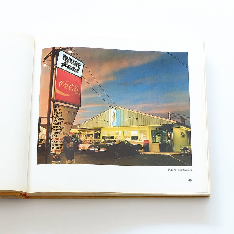 The New Color Photography | Book Ernest