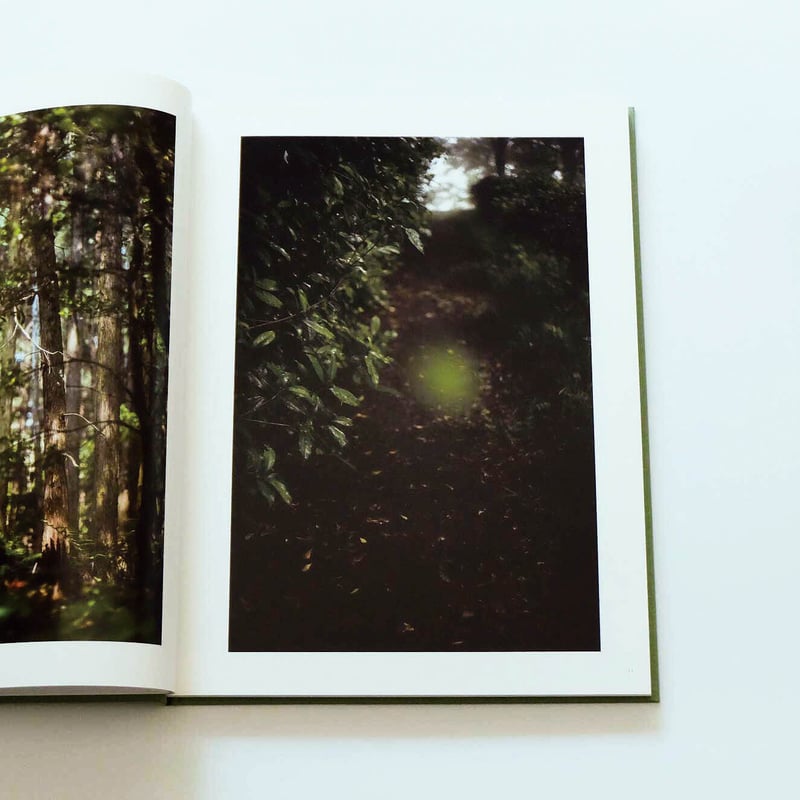 Terri Weifenbach: The may sun | Book Ernest