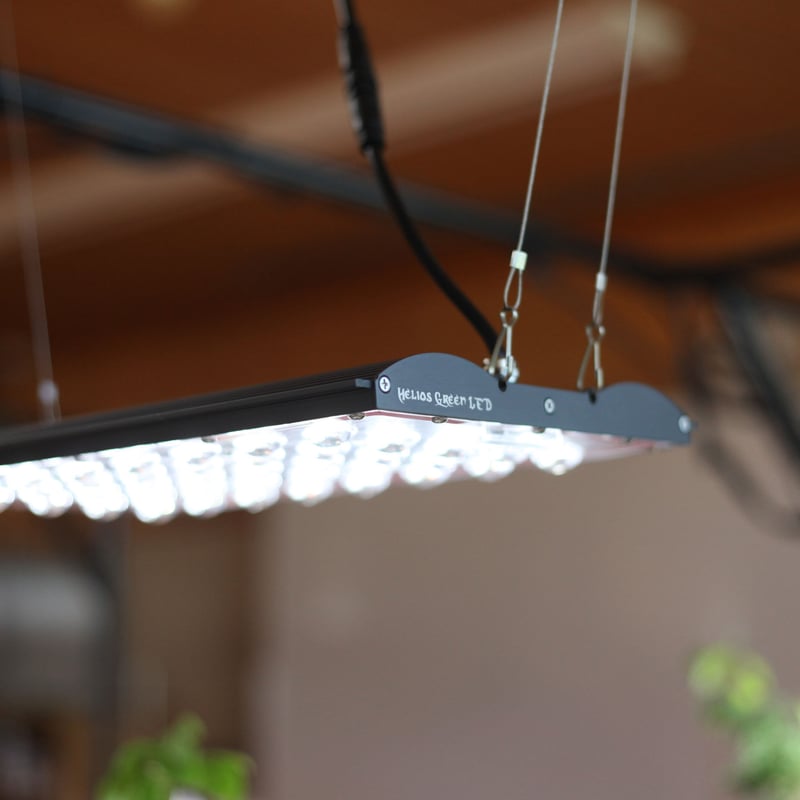 ◇ Helios Green LED PRO Booster 3枚一式セット (303)／ 広