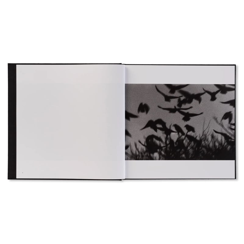 鴉（RAVENS） / 深瀬昌久 | ホホホ座浄土寺店