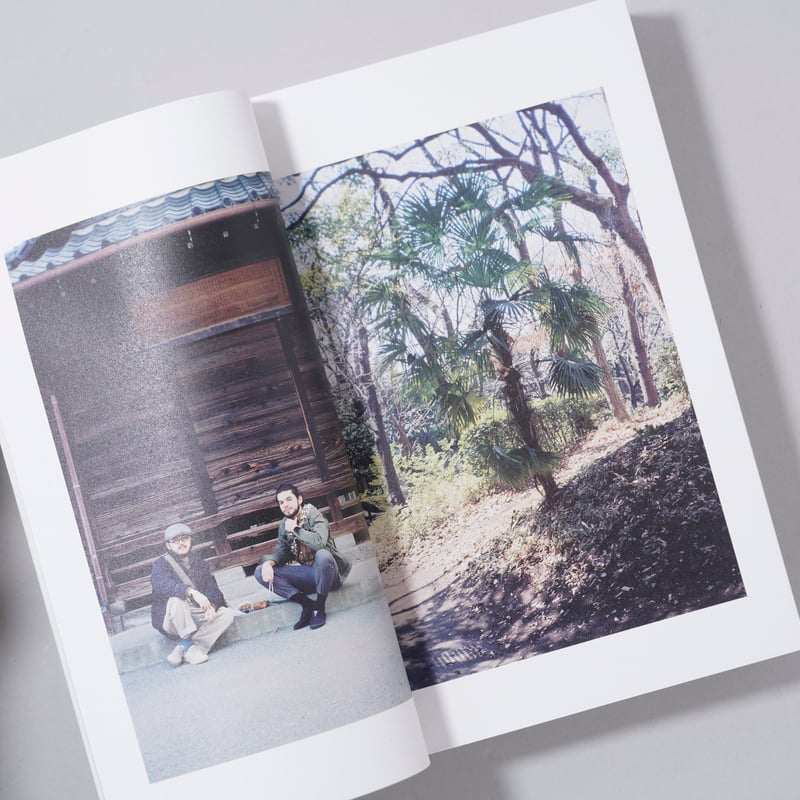 新刊サイン入/New,Signed]花と散る ドリームナビゲーター / 富澤大輔