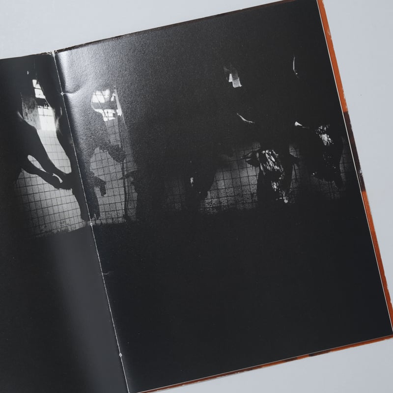屠 / 深瀬昌久(Masahisa Fukase) | bookobscura｜写真集専門書店