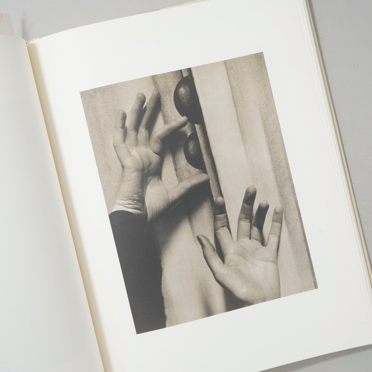 GEORGIA O'KEEFFE A PORTRAIT BY ALFRED STIEGLITZ