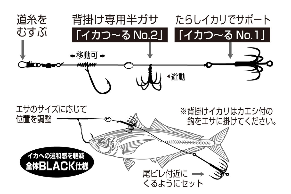 イカ ページ iKAクラ『 イカ一番 ベーシックスタイル 』 - 株式会社カツイチ