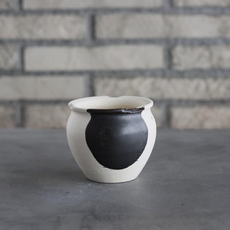 CATEGORY 2.5号鉢 | 芽の巣山