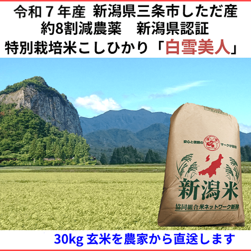 令和7年産 減農薬 ネオニコチノイド系農薬不使用 新潟こしひかり玄米