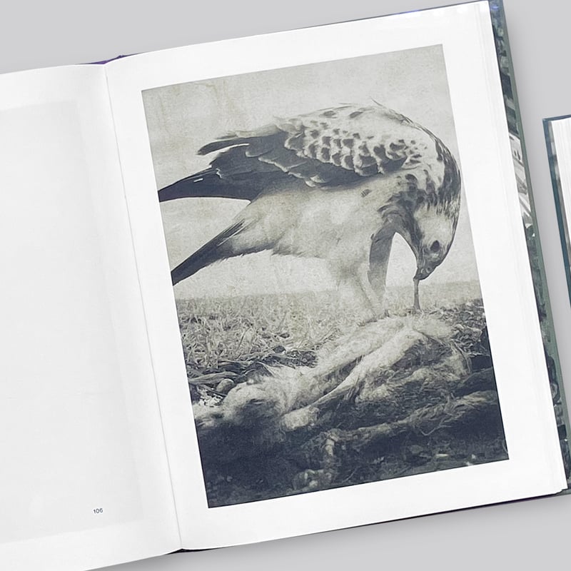 Stephen Gill / Night Procession | POST