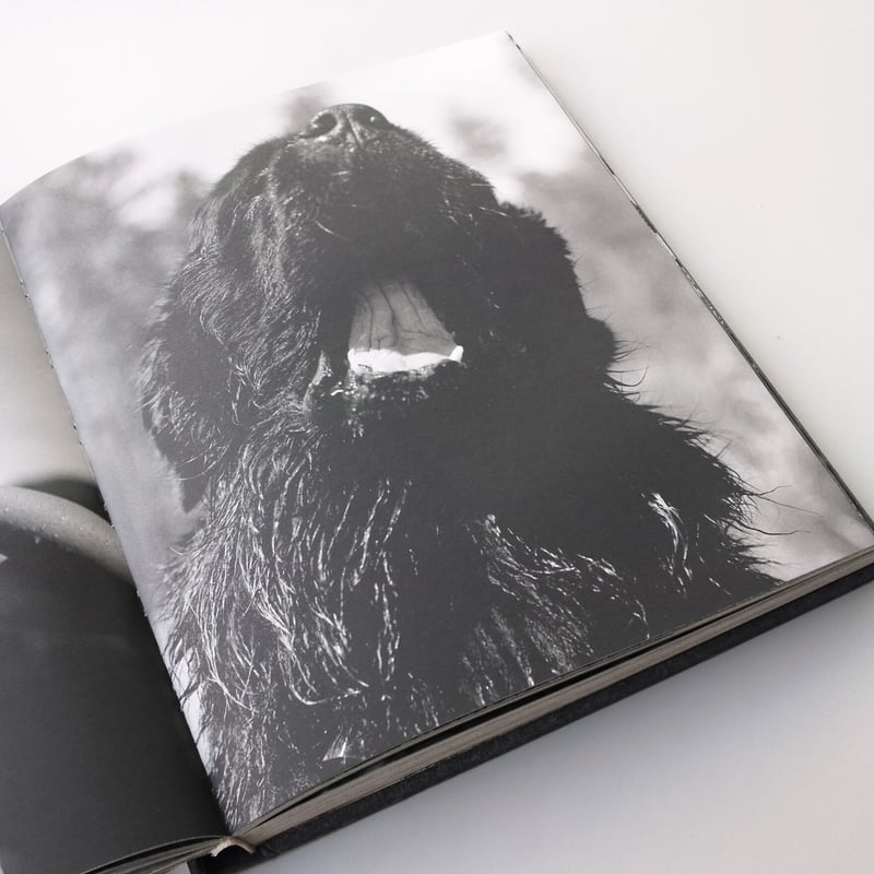 Bruce Weber / Gentle Giants | POST