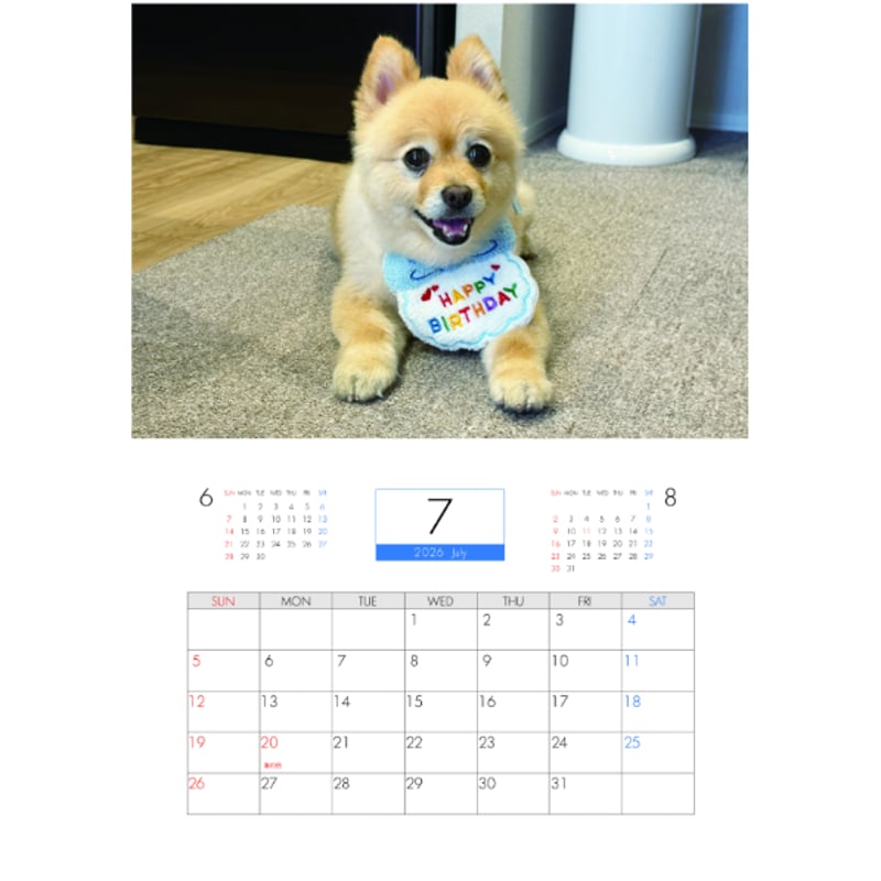 予約販売】 ポメラニアンのポメくん 犬 2026年 壁掛け カレンダー
