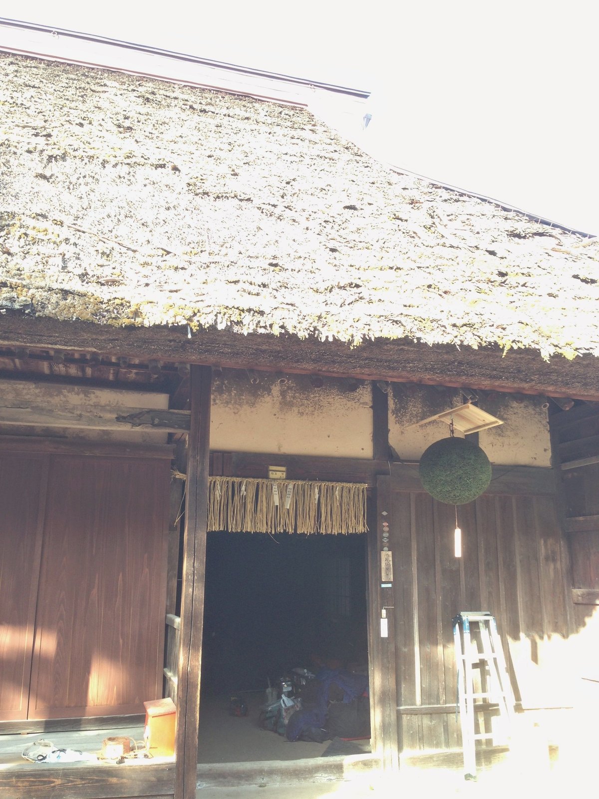 杉玉 大玉 （約50cm） | 楠玉屋