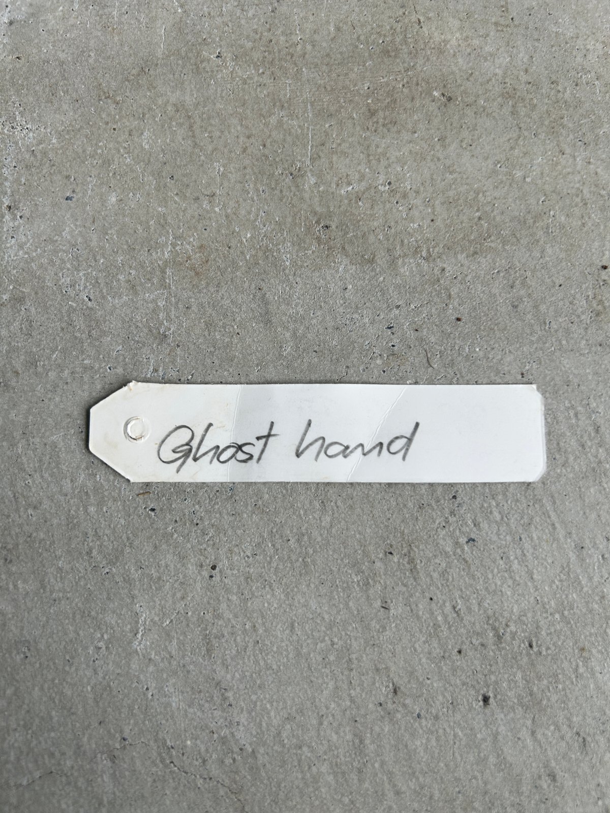 ビカクシダ ゴースト ハンズ 子株 (P. ウィリンキーx P.コロナリウム