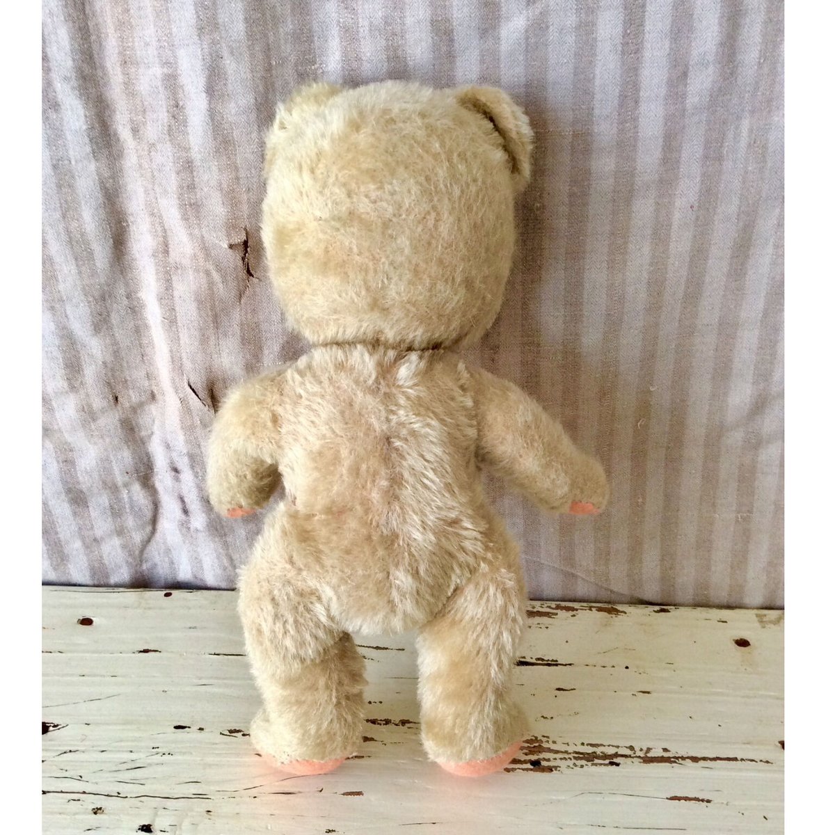 シュコー社 ポンチ目のくま | sputnikplus online shop