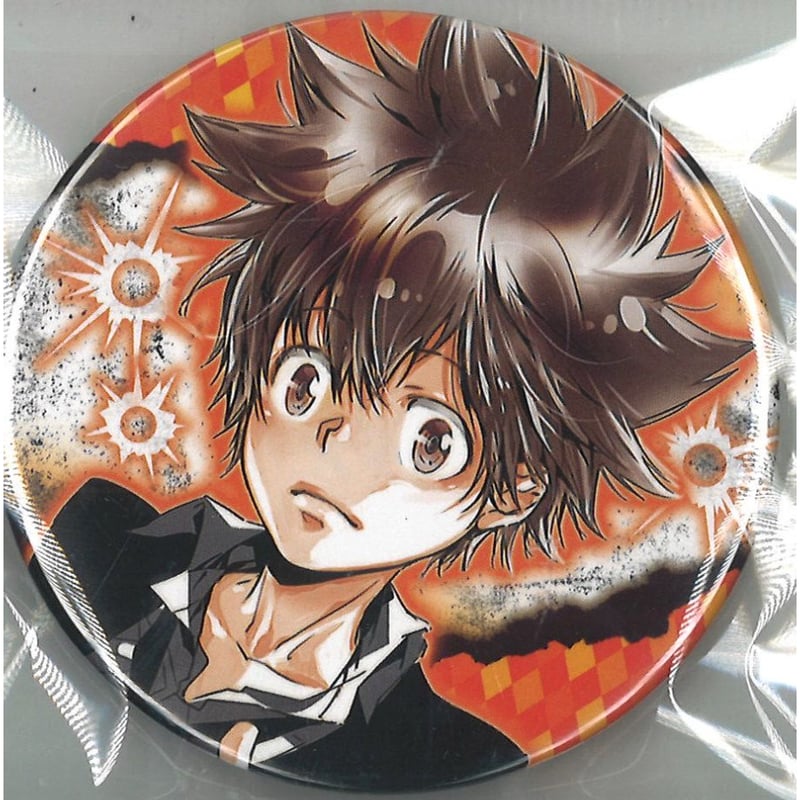 家庭教師ヒットマンREBORN！ 沢田綱吉 リボーン 缶バッジ アクスタ TV