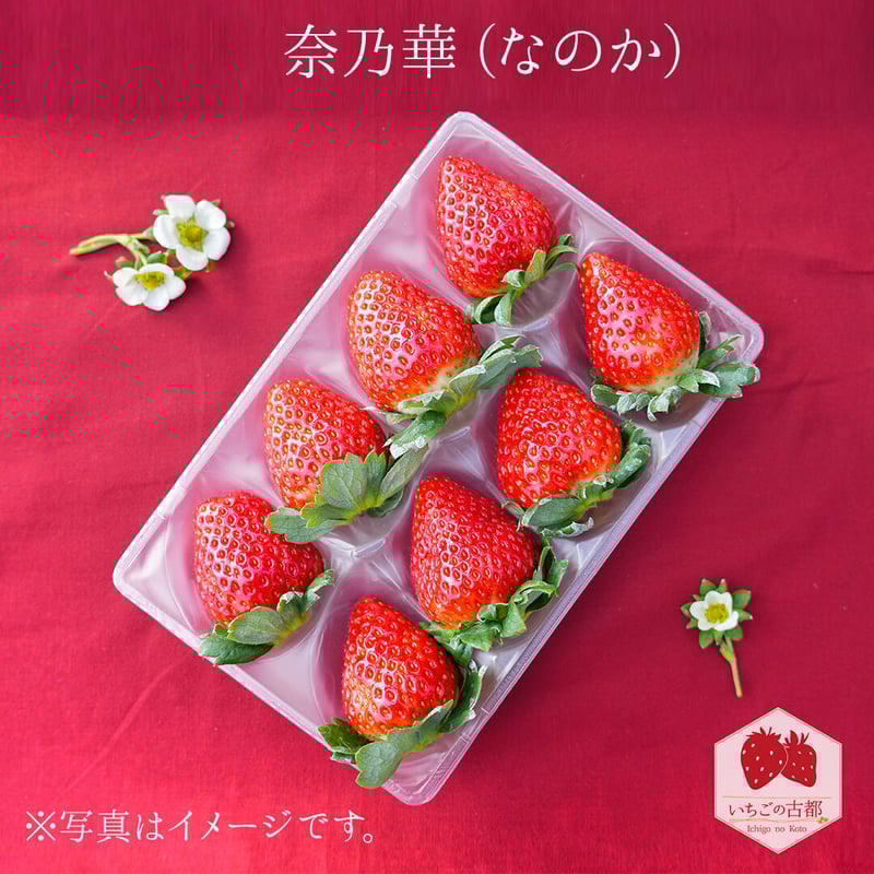 奈乃華（なのか）- 4パック | いちごの古都│奈良県産の高級いちご