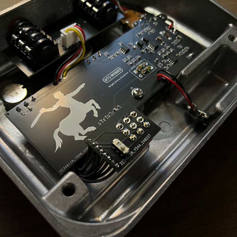 Bright Horse OD -Aged Gold-(WEB ONLY)- 1-2 mont