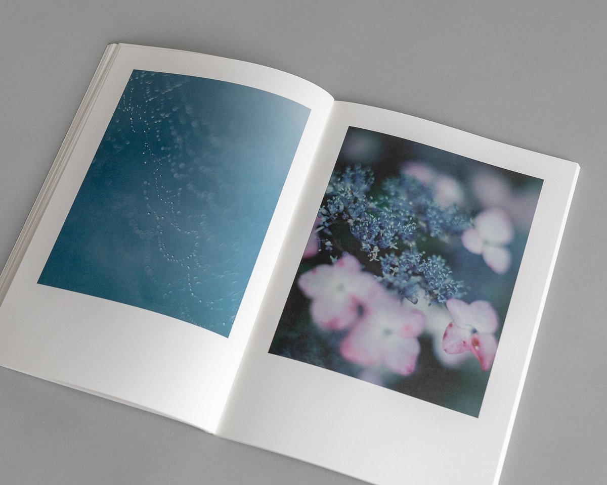 大林直行写真集「おひか」 | Naoyuki Obayashi Online Store