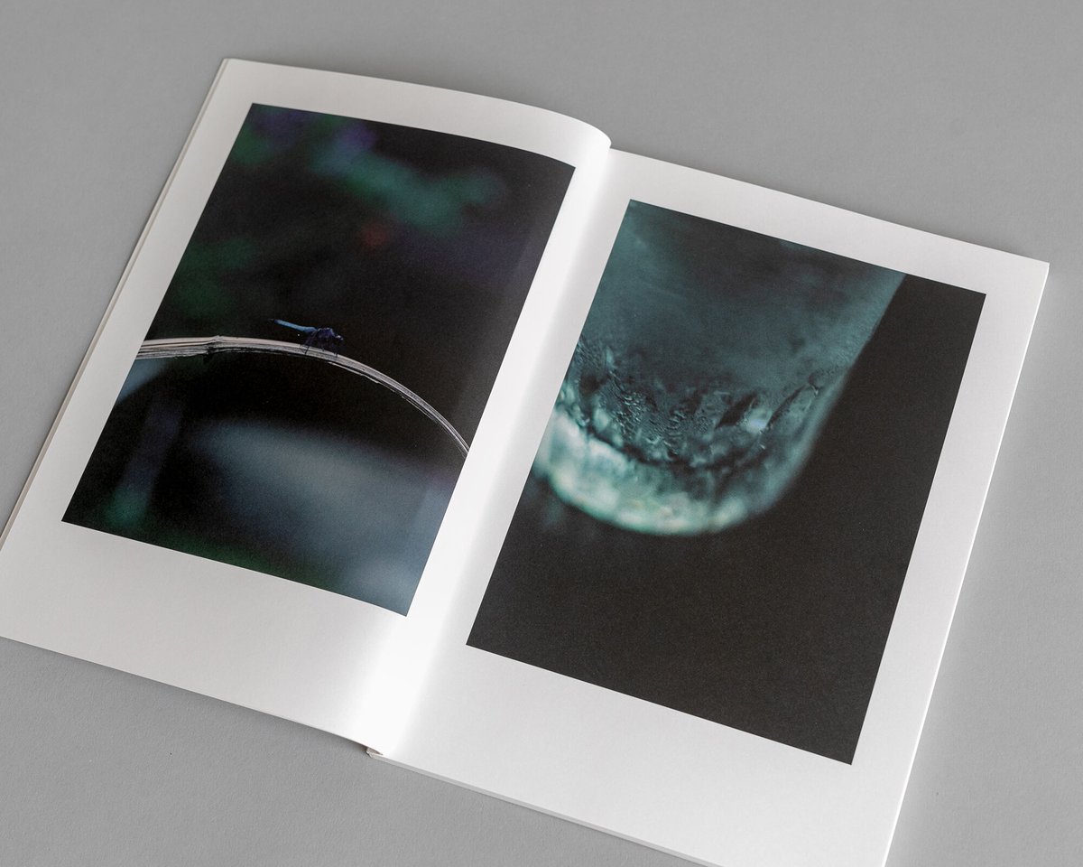 大林直行写真集「おひか」 | Naoyuki Obayashi Online Store