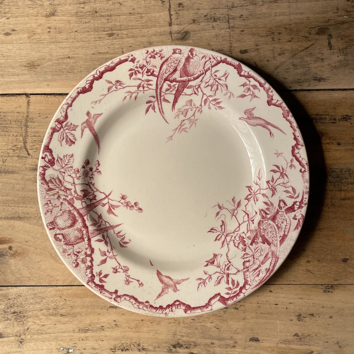 Lunéville 赤い鳥プレート 22.5cm フランスアンティーク | OGISHIMA
