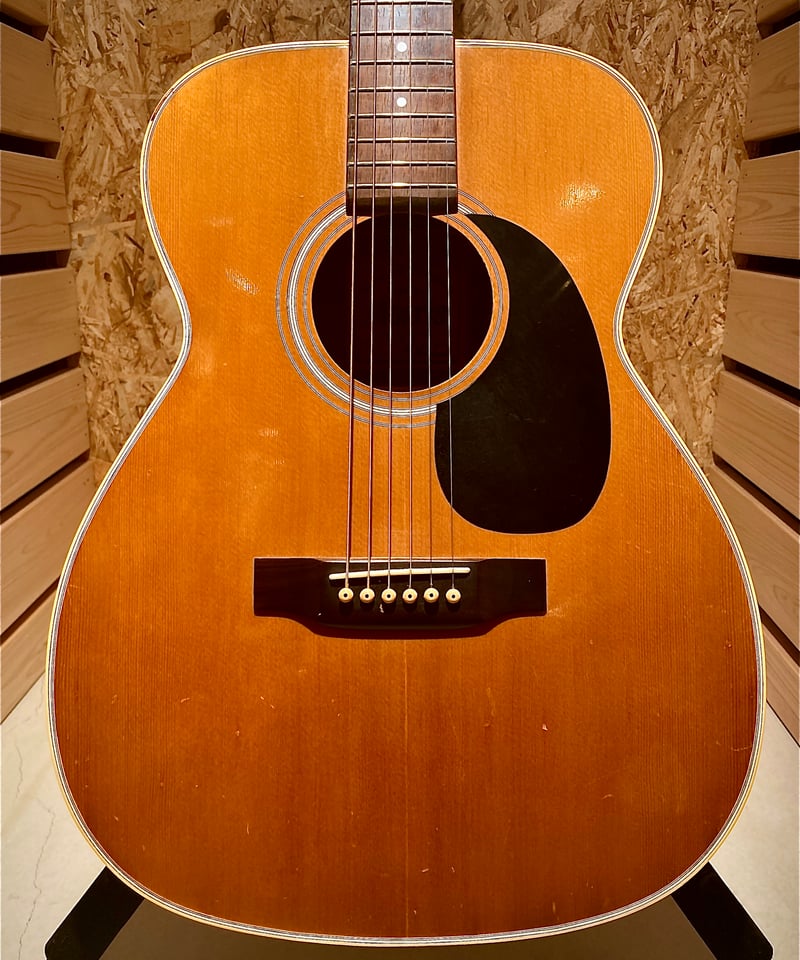 Morris F-20 | Guitarshop SOUNDNINE