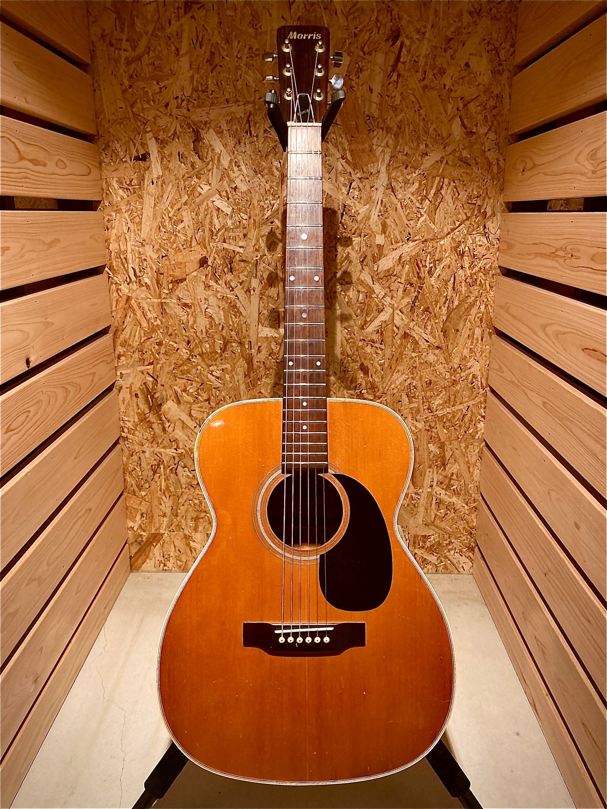 Morris F-20 | Guitarshop SOUNDNINE