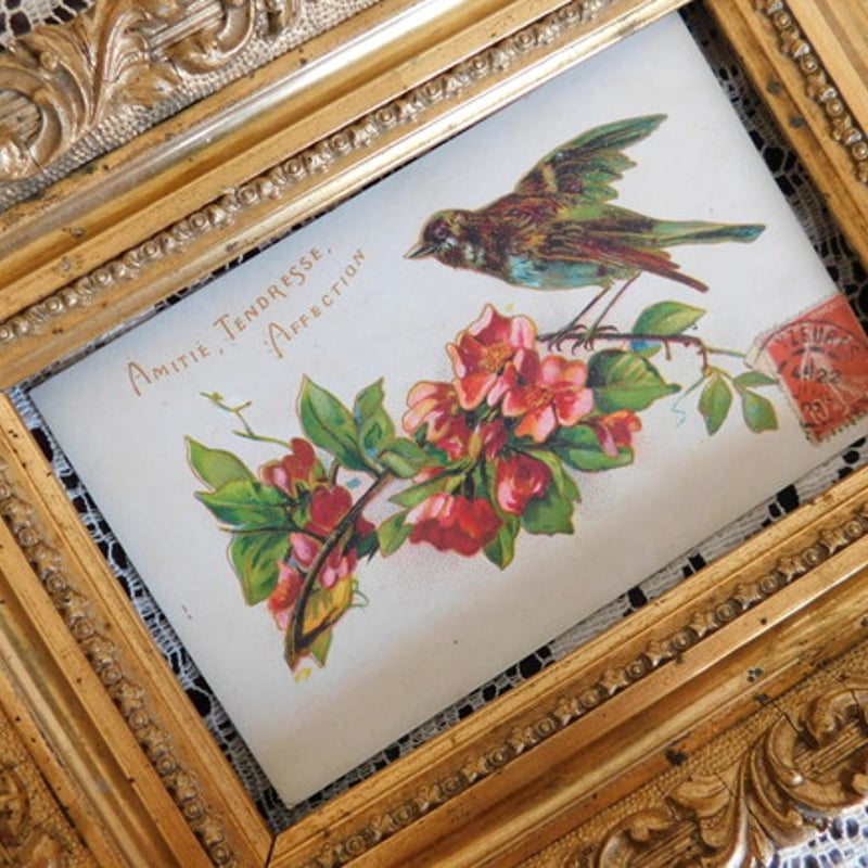 フランス アンティークポストカード 花と鳥と [s063] | shanachie