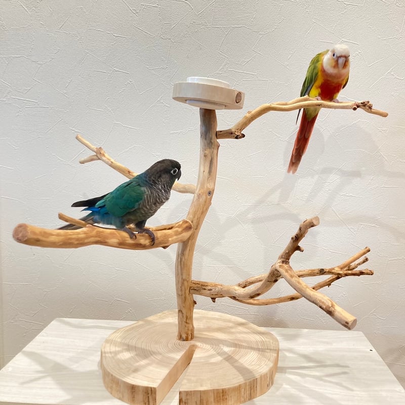 カイヅカのツリーバードアスレチック【インコのおもちゃ・自然木の