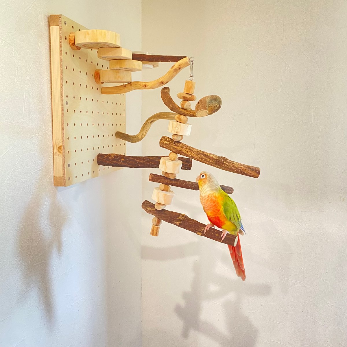 自由にカスタム 壁掛けバードアスレチック【B】【インコのおもちゃ