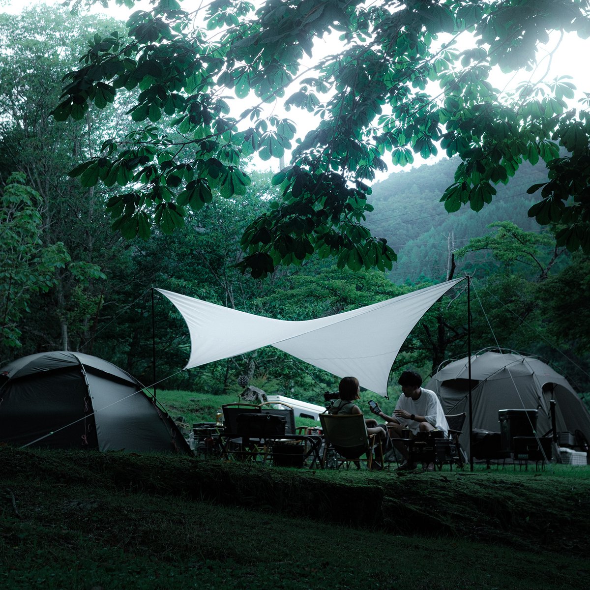 teloタープ looks ルークス 年一回限定 サンドカラー teloタープ looks