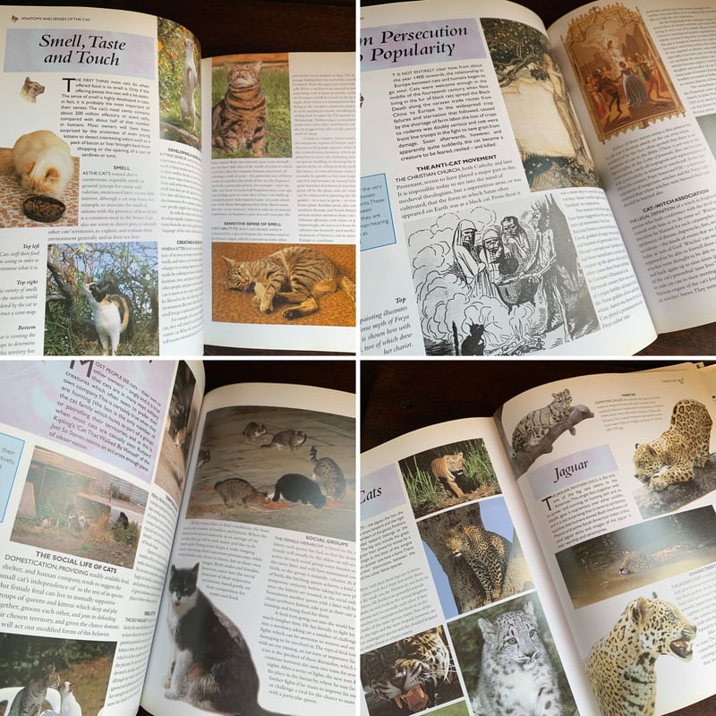 洋書 / 猫の図鑑 「THE CAT」 | STRANGEPOPS