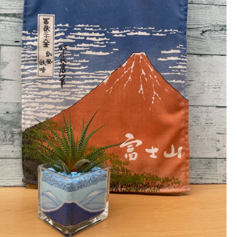 The FUJIYAMA！（青富士、赤富士）（高さ約15㎝） | 中川園芸