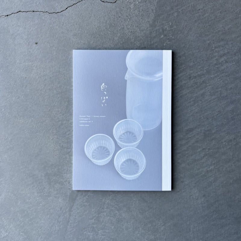 exhibition vol.9 辻和美＋factory zoomer《白っぽい》 | art