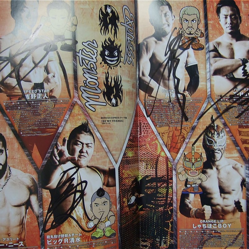 ドラゴンゲートオフィシャルパンフレットVol.49（複数選手直筆サイン