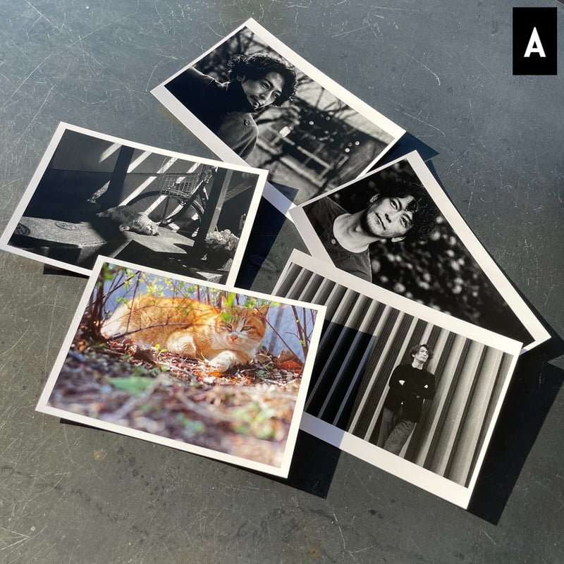 ポストカードセット(A-C) | TAKAMASA SUGA STORE