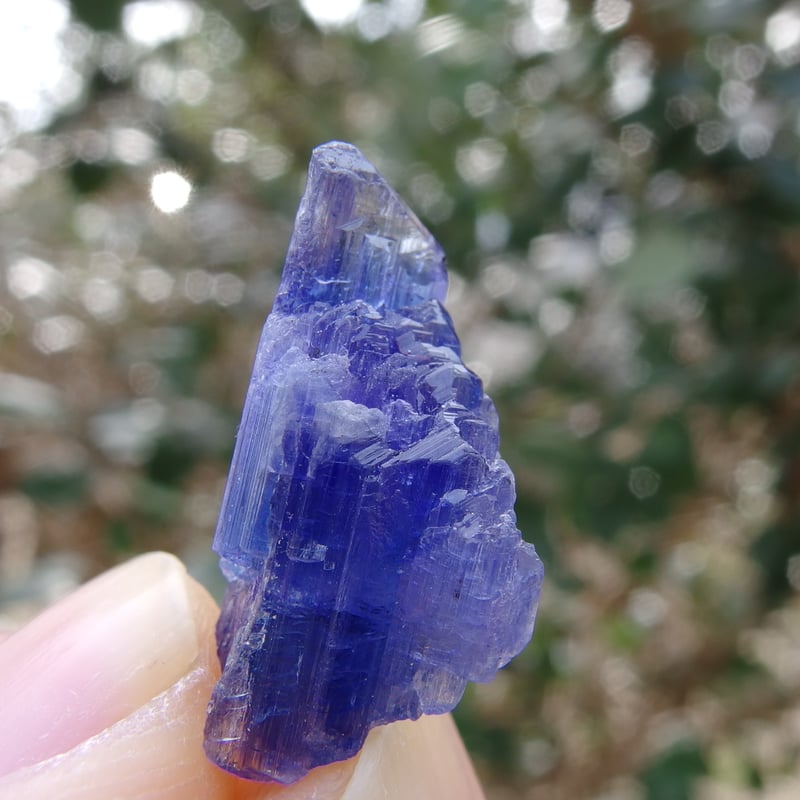 非加熱タンザナイト原石【特典付き】 | Crystal Light