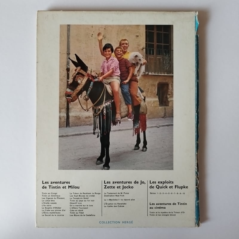 tin tin et les oranges bleues』タンタンと青いオレンジ・実写絵本