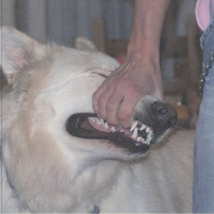 SIGN CRUSHES MOTORIST - I'll Be Okay Vinyl at Juno Records.