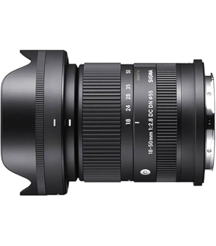 Sigma 24-70mm F/2.8 IF EX DG HSM Zoom Lens for Canon DSLR Camera