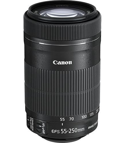 Canon EF-S 18-55mm f/3.5-5.6 IS STM Zoom Lens (Bulk Packaging