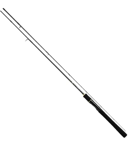 Amazon | ダイワ(DAIWA) シーバスロッド ラブラックスAGS 96ML 釣り竿