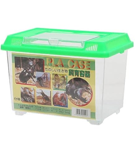 自然な木目の丸太 樹洞 丸洞 桐老木 昆虫飼育箱 自然な木目の丸太 樹洞