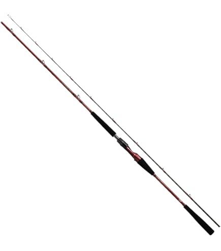 Amazon | ダイワ(DAIWA) 船竿 アナリスターネライ MH-180 | ダイワ