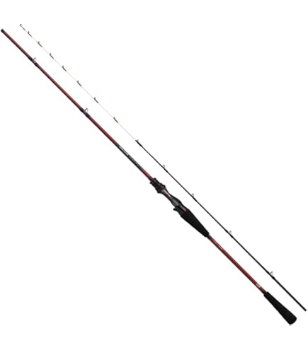 Amazon | ダイワ(DAIWA) 船竿 アナリスター 真鯛 255 釣り竿 | ダイワ