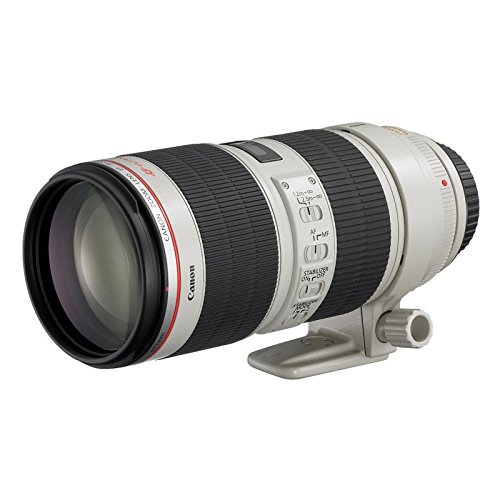 最強コスパの中望遠Lレンズ！EF70-200 F4L IS USMレビュー | 僕と写真