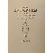 41irZHnG99L._AC_UL210_SR210,