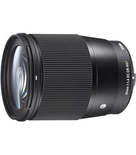 Amazon.co.jp: シグマ 19mm F2.8 EX DN MFT マイクロフォーサーズ用