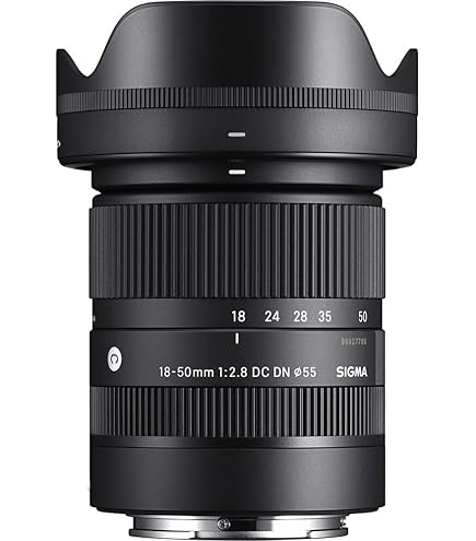 Amazon.co.jp: シグマ(Sigma) レンズ 28-70mm F2.8 DG DN Sony ソニー