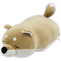 51LlWWm4gtL._AC_UL210_SR210,