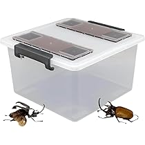 51QTpZl2KTL._AC_UL210_SR210,