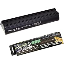 51ZQIw7oIwL._AC_UL210_SR210,