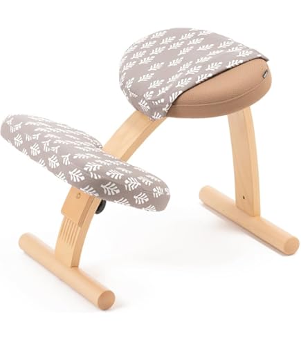 Amazon.co.jp: バランスラボ バランスイージー 通常フレーム 通常箱